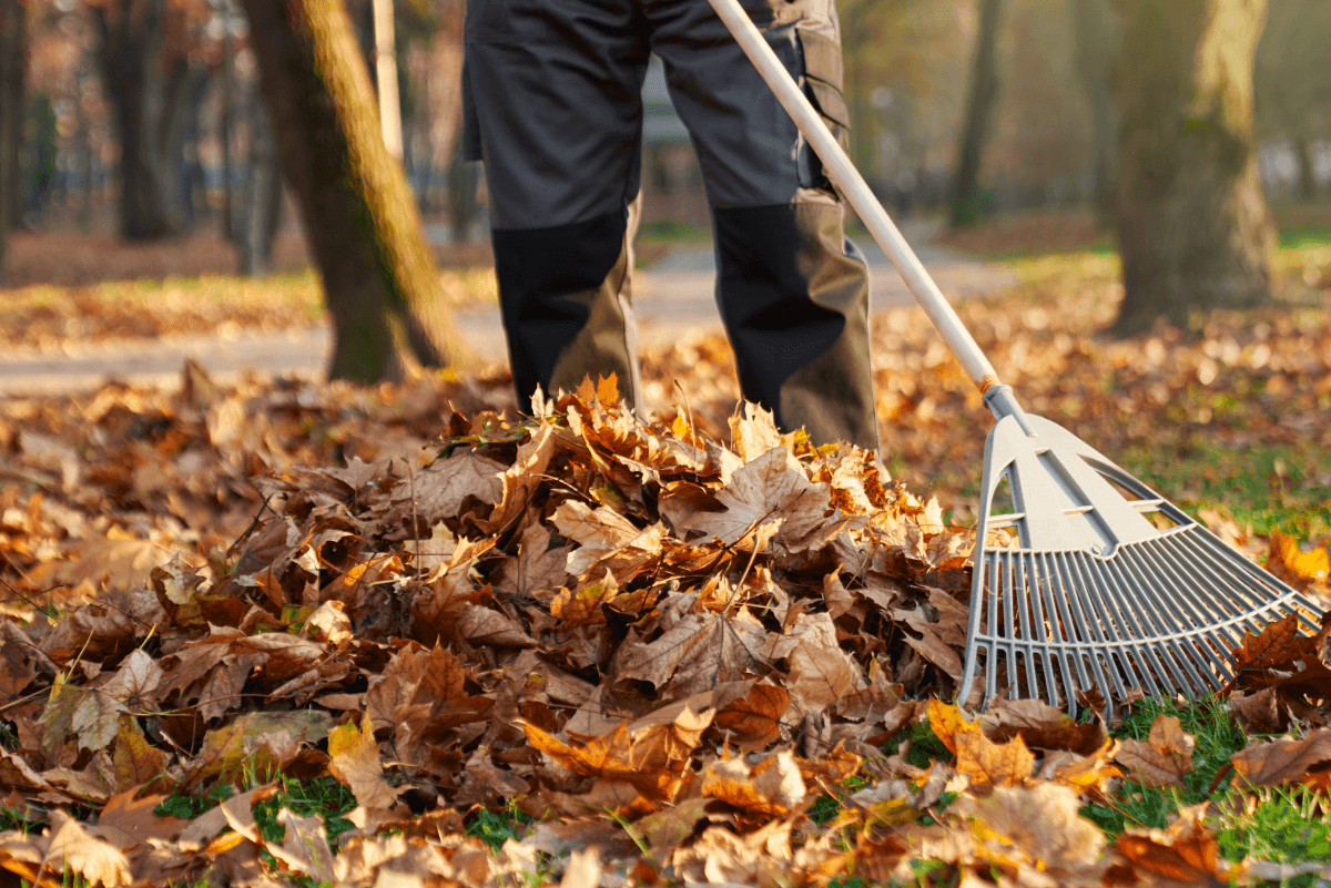 Landscaping services in Palmyra